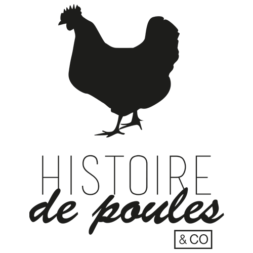 Logo Histoire De Poules And Co